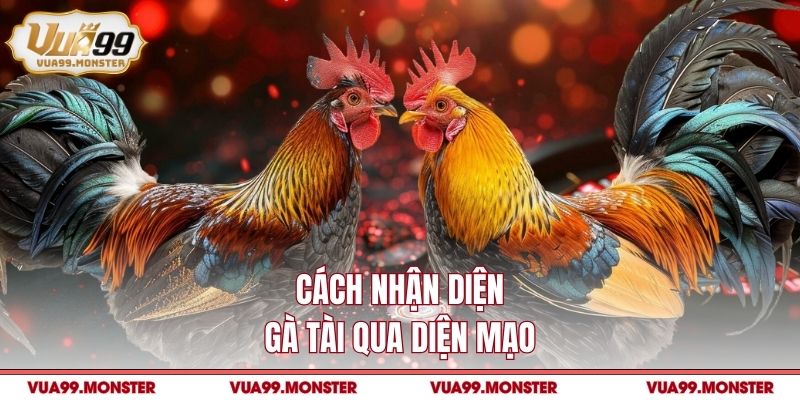 Cách nhận diện gà tài qua diện mạo