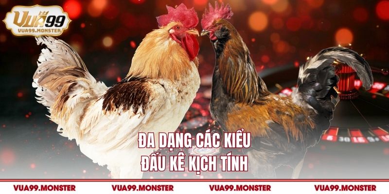 Đa dạng các kiểu đấu kê kịch tính