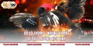 Đá gà Thomo