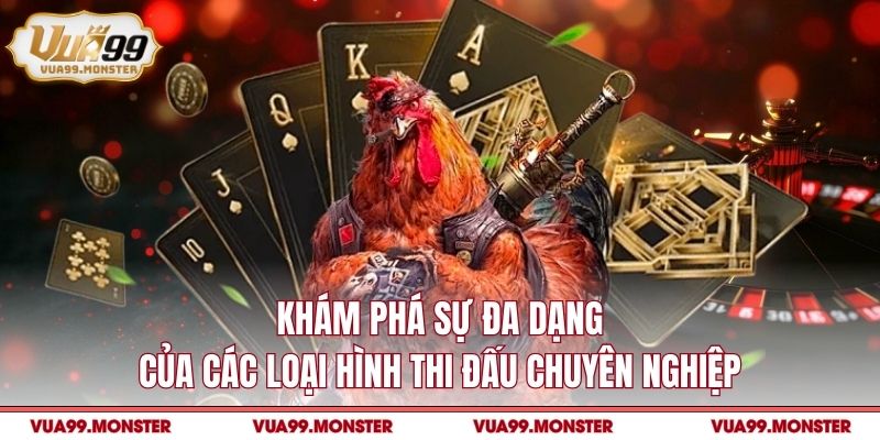 Khám phá sự đa dạng của các loại hình thi đấu chuyên nghiệp