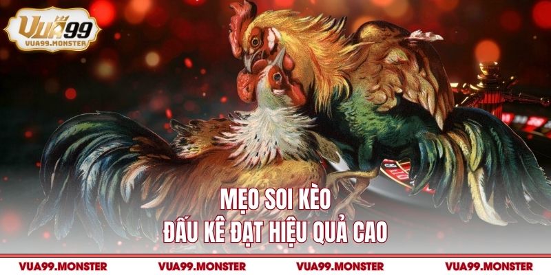 Mẹo soi kèo đấu kê đạt hiệu quả cao
