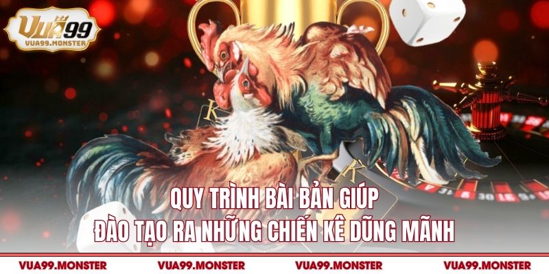 Quy trình bài bản giúp đào tạo ra những chiến kê dũng mãnh